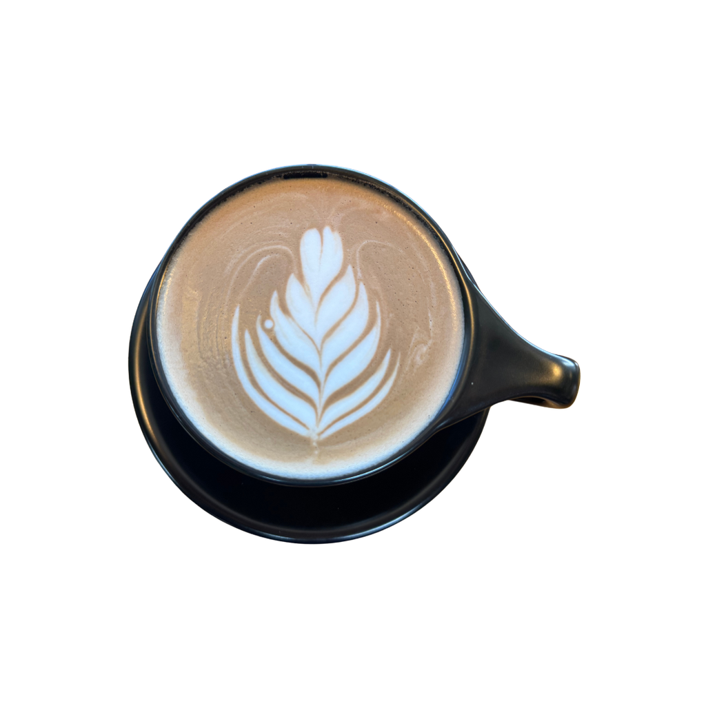 Mocha 12oz
